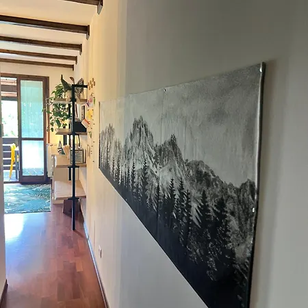 Mandi Mandi Con Vista